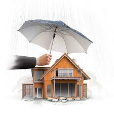 Citizens Property Insurance